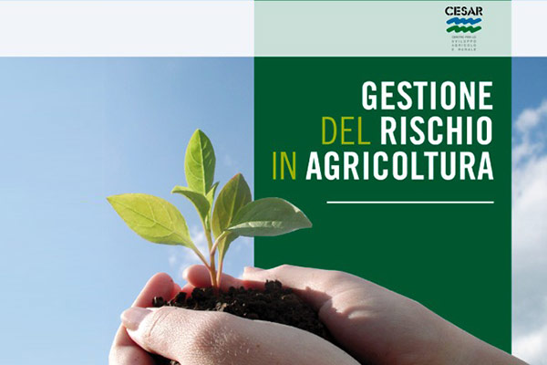Gestione del rischio in agricoltura - Convegno Assisi 2019
