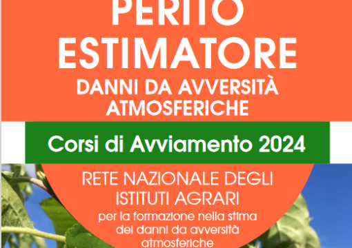 PERITO ESTIMATORE – Corsi di Avviamento 2024